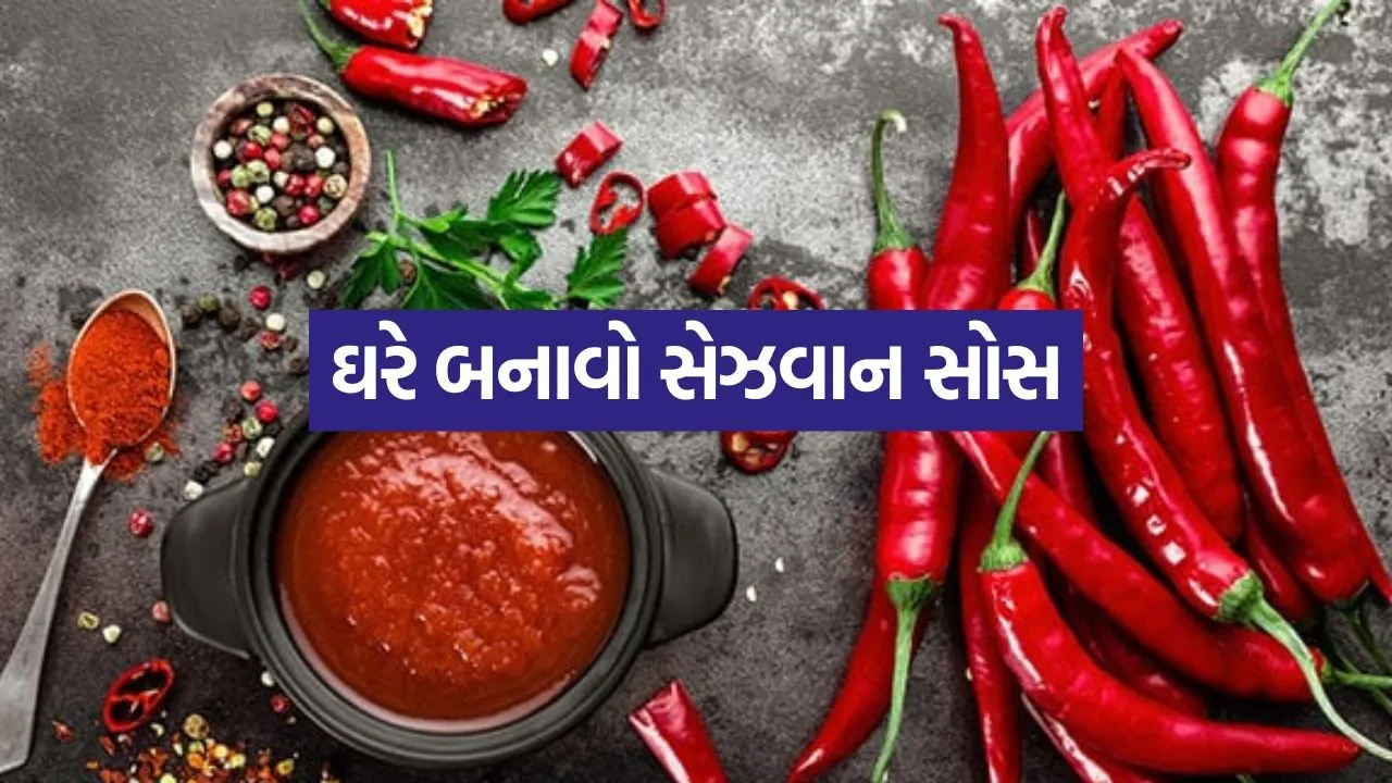 Schezwan Sauce 1304.jpg