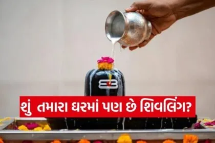 Shivling placement
