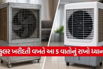 Air cooler