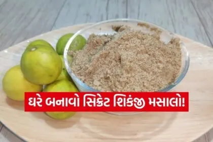 Shikanji masala
