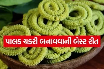 Palak chakri 1404