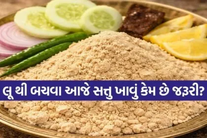 Satua Sankranti