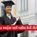 Law career