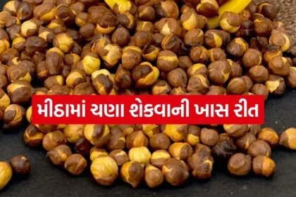Chana 1404