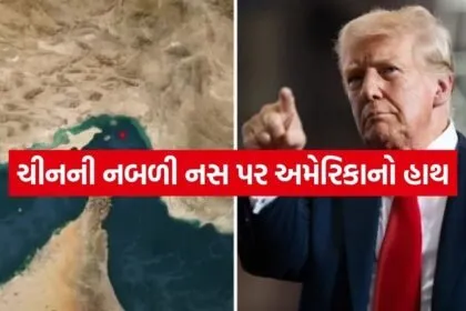 Trump 1504