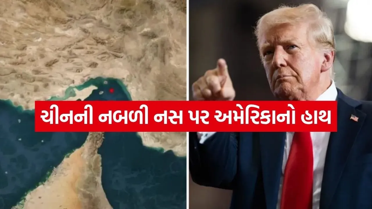 Trump 1504.jpg