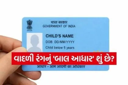 Baal Aadhaar