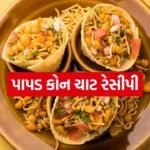 Papad Cone Chaat 1504