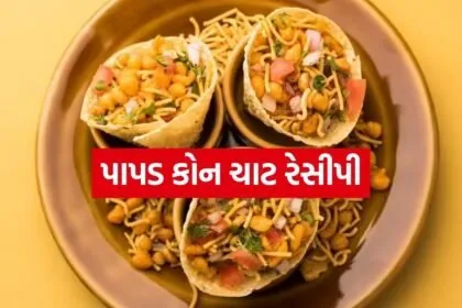 Papad Cone Chaat 1504
