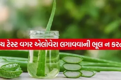 Aloe vera 1504