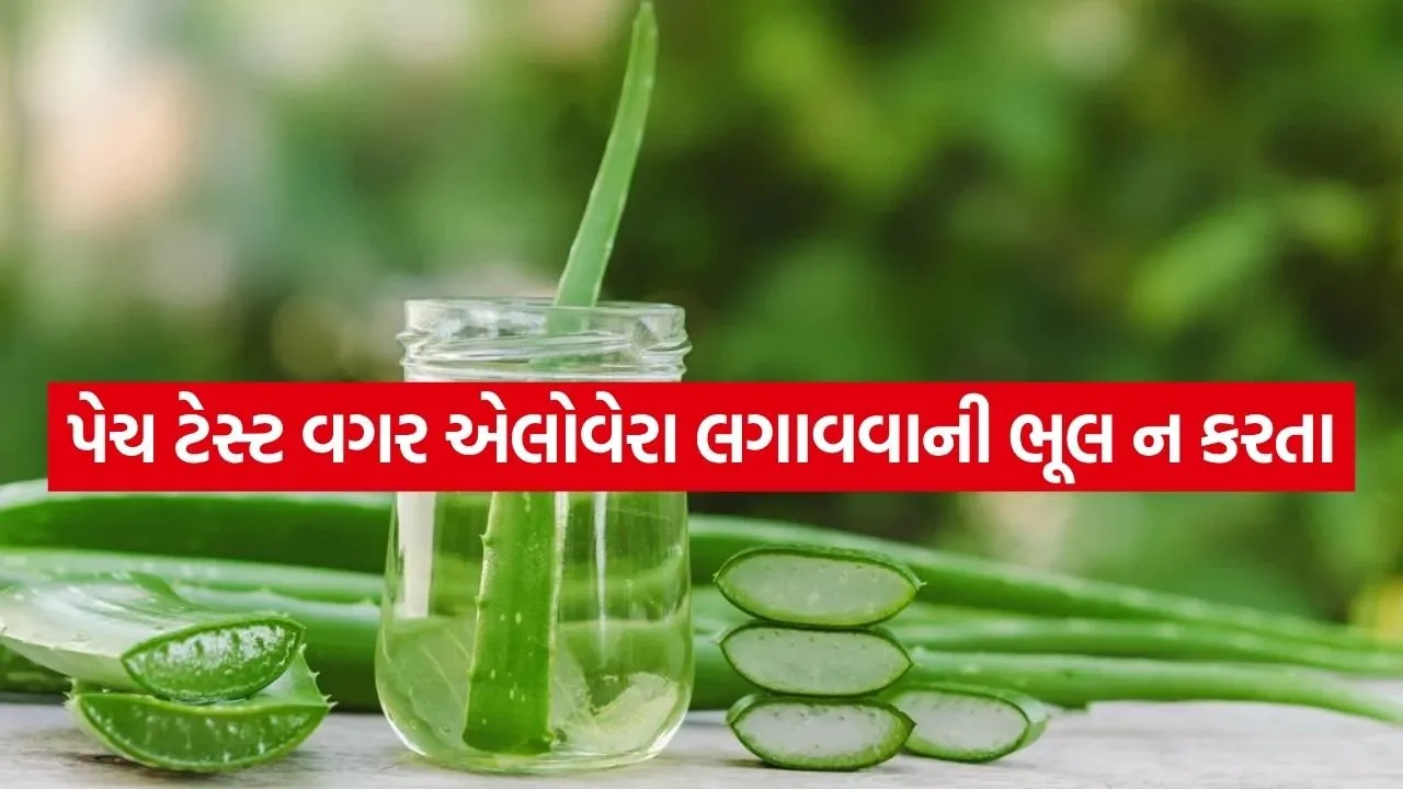 Aloe vera 1504.jpg