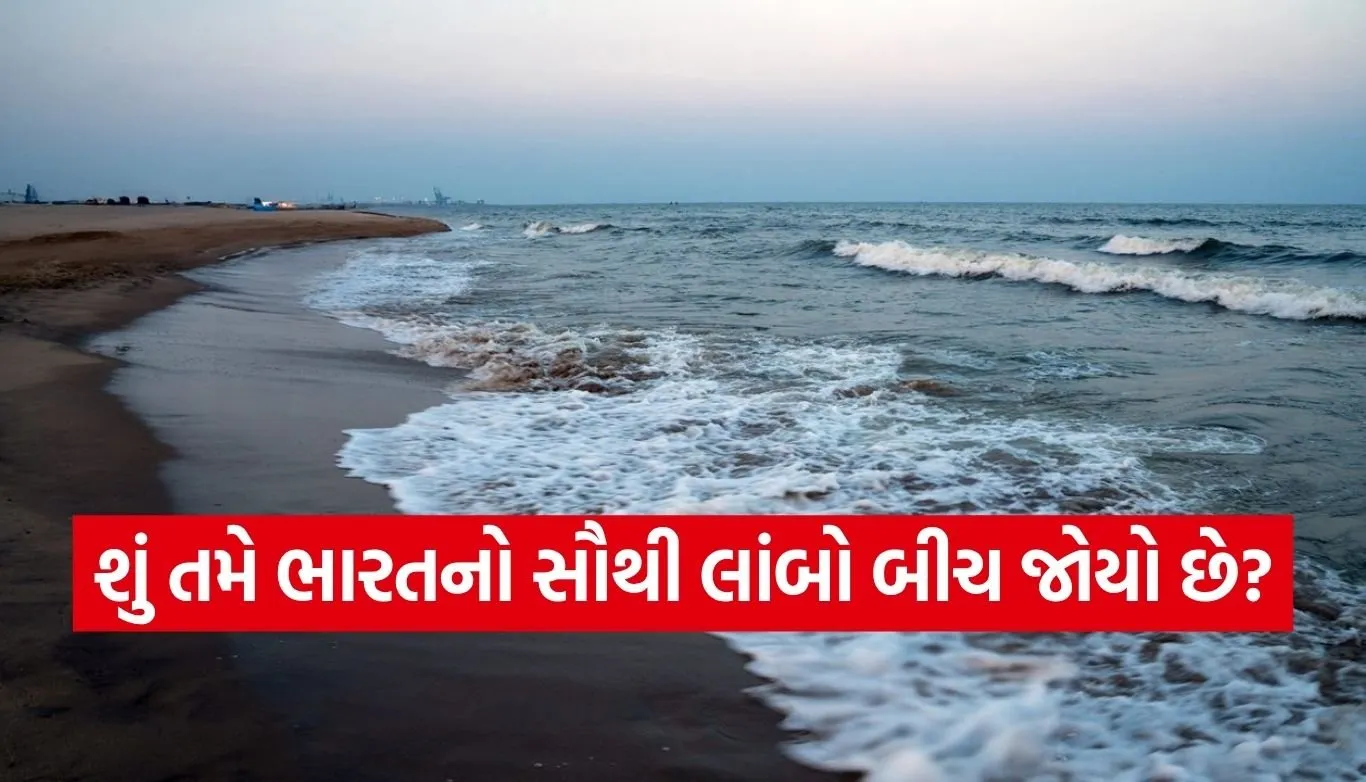 Marina Beach