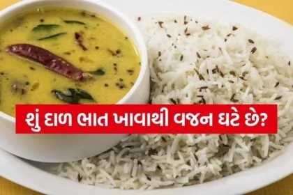 dal chawal 1504