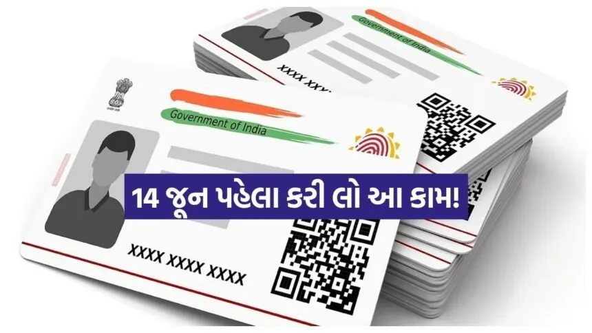INDIA 1 2026 04 16T155847.824