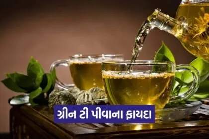 kruti 10