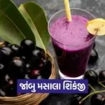 kruti 18