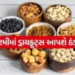 dryfruit 1704