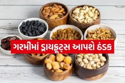 dryfruit 1704