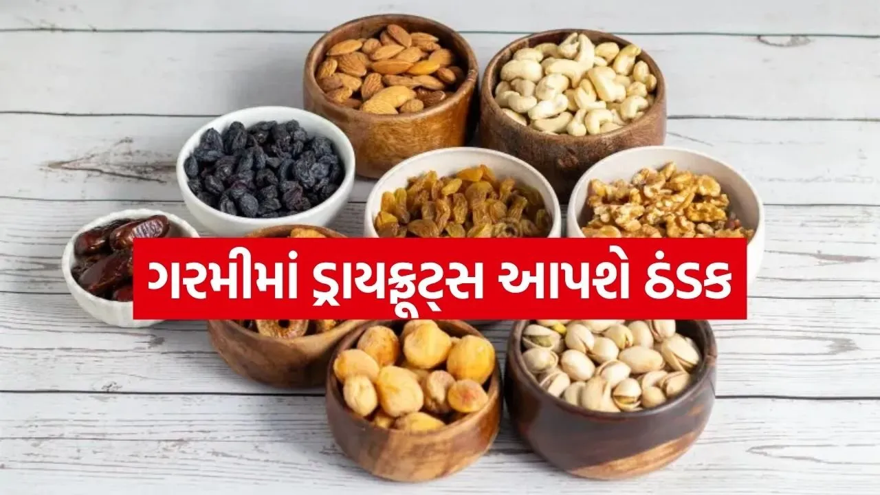 dryfruit 1704.jpg