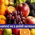 Dharmishtha 12