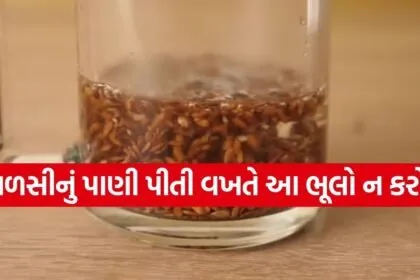 flaxseed water 1804