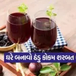 dharmishtha 1 18