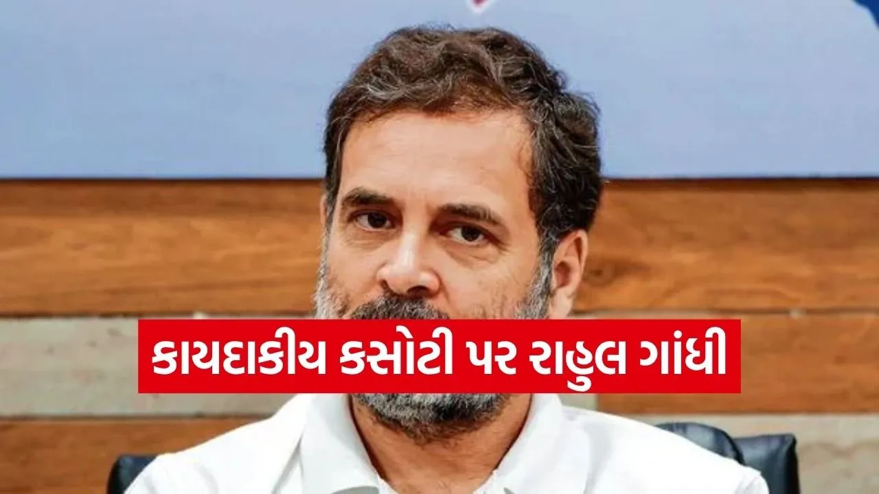 Rahul Gandhi 1804.jpg