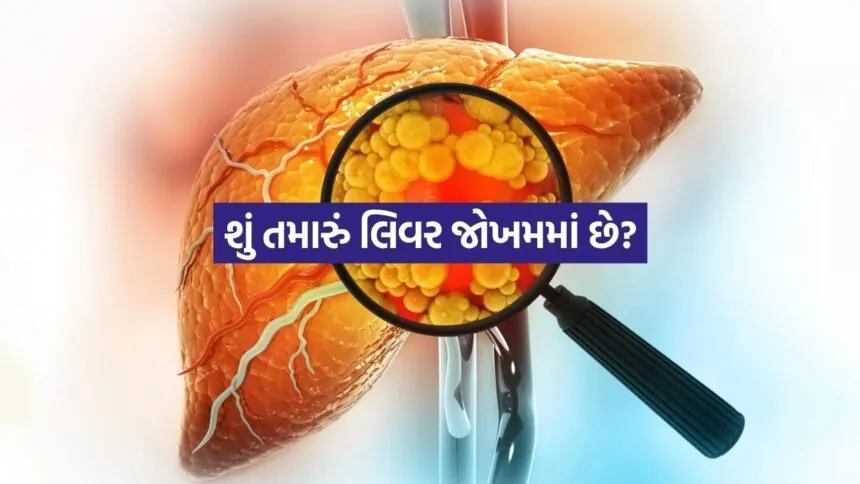 INDIA 1 2026 04 18T184149.545
