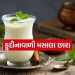 Masala Buttermilk 2004