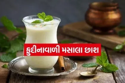 Masala Buttermilk 2004