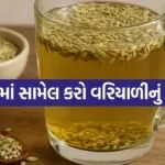 fennel seed water 2004