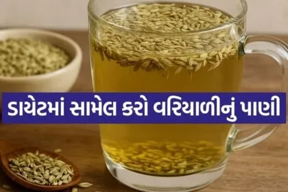 fennel seed water 2004