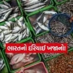 INDIA 1 2026 04 20T124418.121