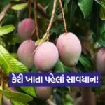 dharmishtha 1 20