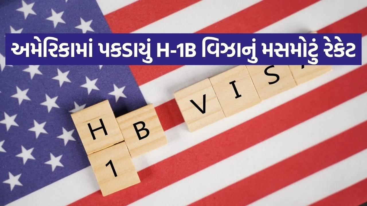 H 1B VISA 2004.jpg