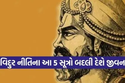 Vidur Niti