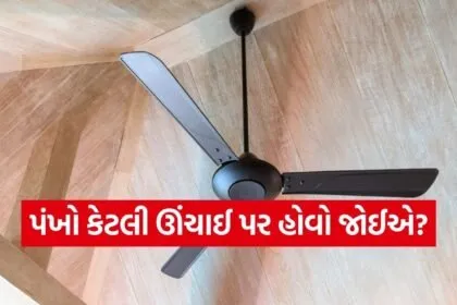 Best ceiling fan