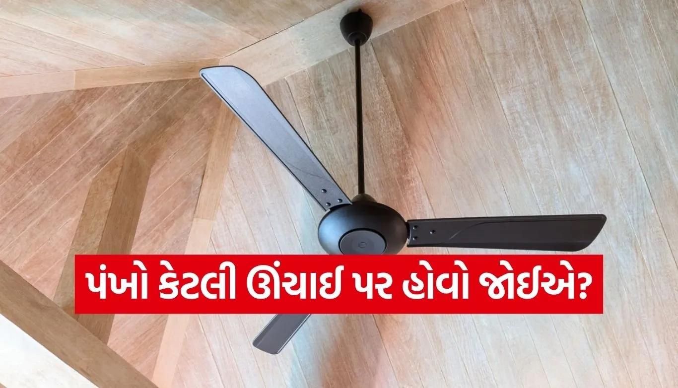 Best ceiling fan