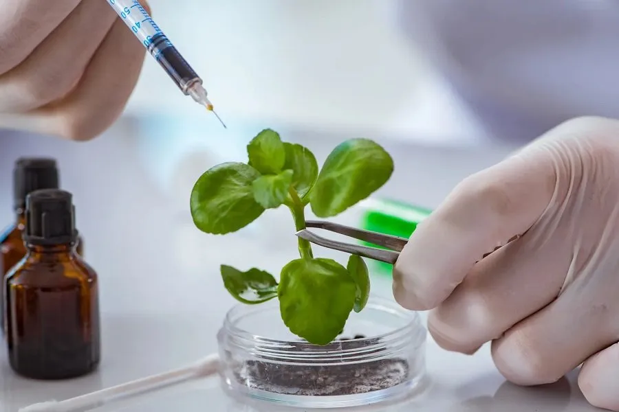Microbiology vs Biotechnology