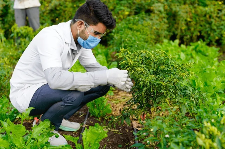 horticulture course
