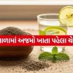 carom seeds 2004