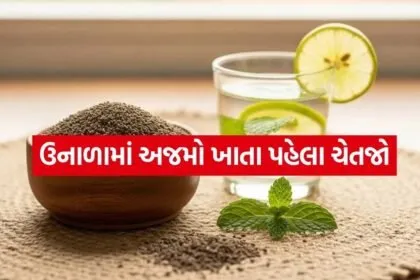 carom seeds 2004
