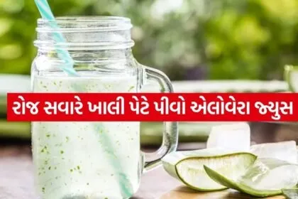 aloe vera juice 2004