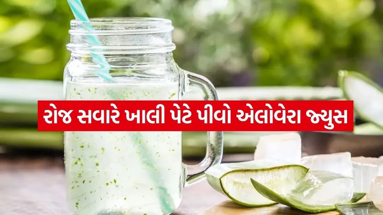 aloe vera juice 2004.jpg