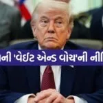 Trump 2204 1