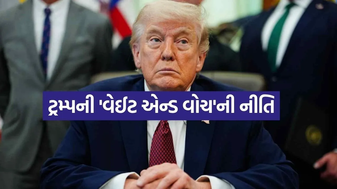 Trump 2204 1.jpg