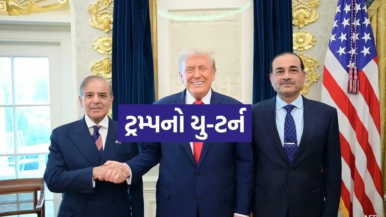 Trump 2204 3.jpg