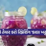 Kala Khatta Shikanji