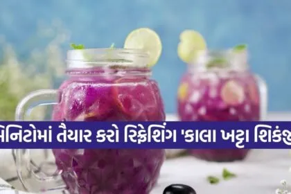 Kala Khatta Shikanji