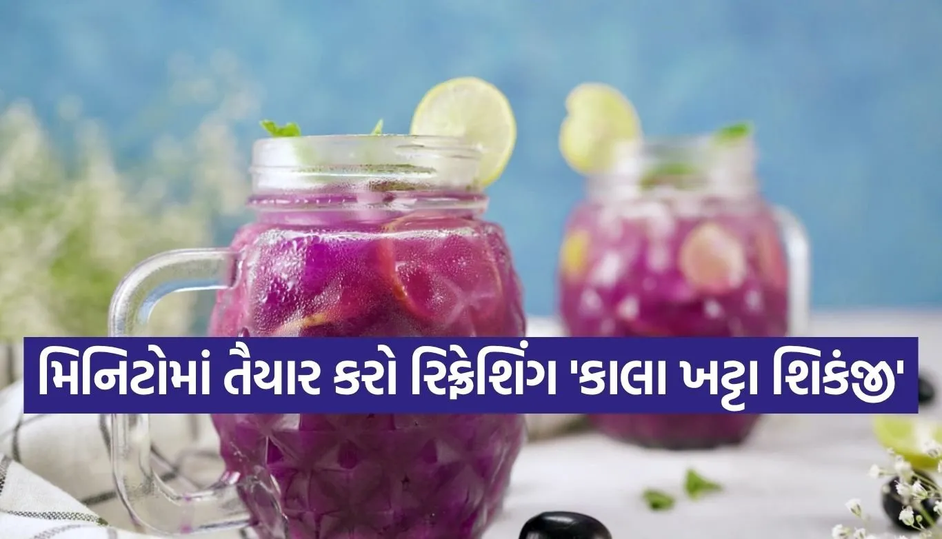 Kala Khatta Shikanji
